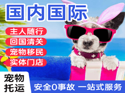 宜兴空运国际宠物托运 【国